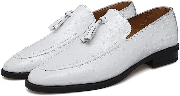 Santimon Men's Leather Loafers Classic Slip-on Tassel Loafers for Men Business Casual Dress Moccasin Shoes
