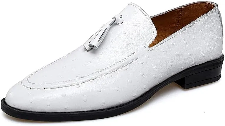 Santimon Men's Leather Loafers Classic Slip-on Tassel Loafers for Men Business Casual Dress Moccasin Shoes