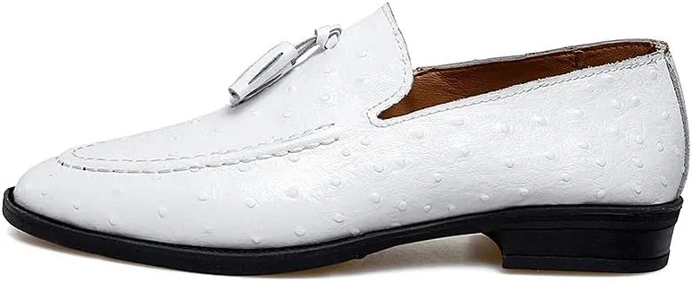 Santimon Men's Leather Loafers Classic Slip-on Tassel Loafers for Men Business Casual Dress Moccasin Shoes